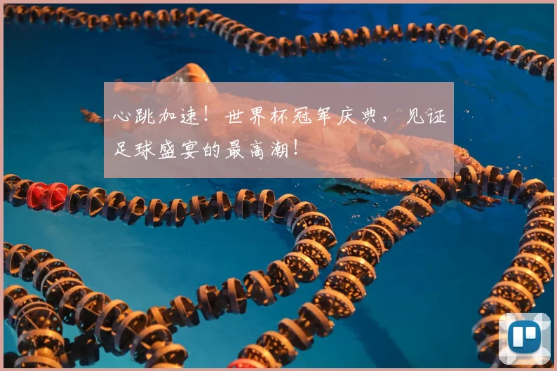 心跳加速!世界杯冠军庆典,见证足球盛宴的最高潮!