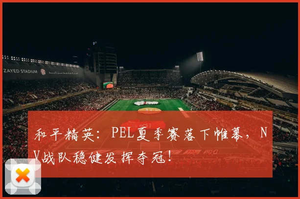 和平精英：PEL夏季赛落下帷幕，NV战队稳健发挥夺冠！