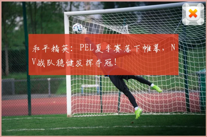 和平精英：PEL夏季赛落下帷幕，NV战队稳健发挥夺冠！