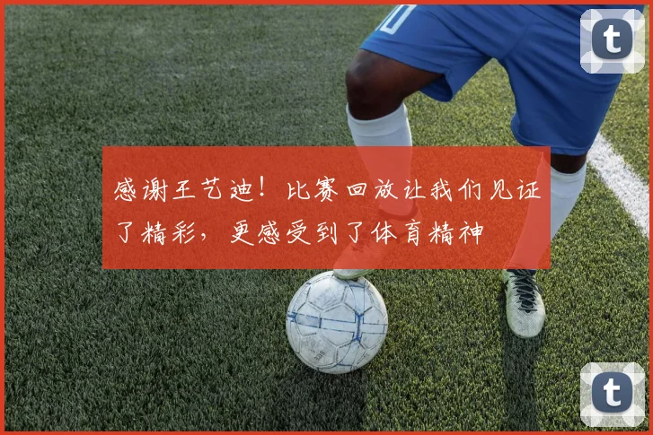 感谢王艺迪!比赛回放让我们见证了精彩,更感受到了体育精神
